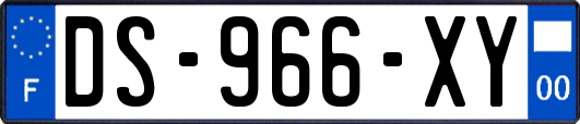 DS-966-XY