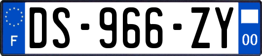 DS-966-ZY