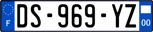DS-969-YZ