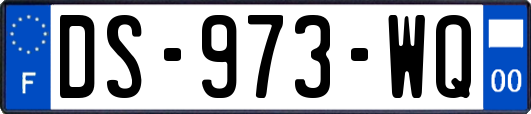 DS-973-WQ