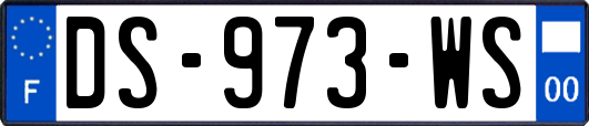 DS-973-WS