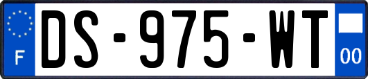 DS-975-WT