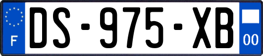 DS-975-XB