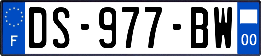 DS-977-BW