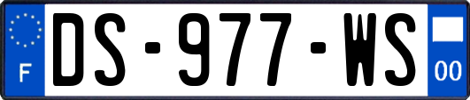 DS-977-WS