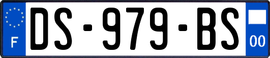 DS-979-BS