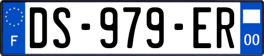 DS-979-ER