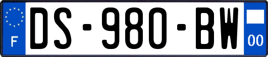 DS-980-BW