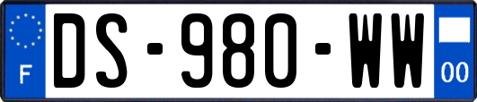 DS-980-WW