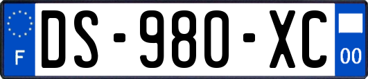 DS-980-XC