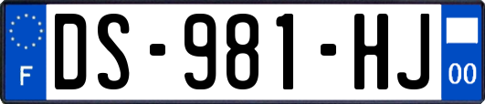 DS-981-HJ
