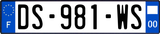 DS-981-WS