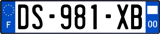 DS-981-XB