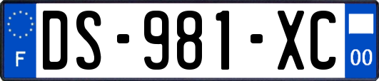 DS-981-XC