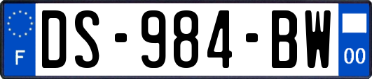 DS-984-BW