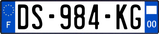 DS-984-KG