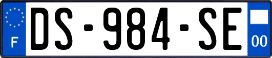 DS-984-SE