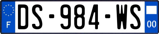 DS-984-WS
