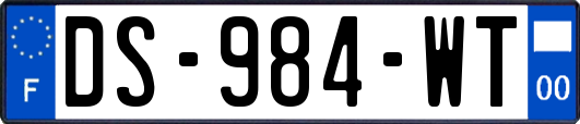 DS-984-WT