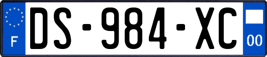 DS-984-XC