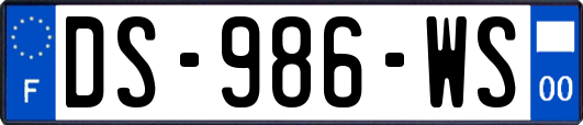 DS-986-WS