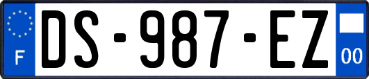 DS-987-EZ