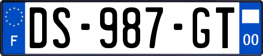 DS-987-GT