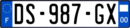 DS-987-GX
