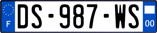 DS-987-WS