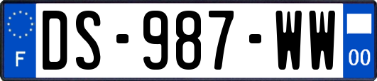 DS-987-WW