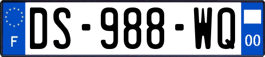 DS-988-WQ
