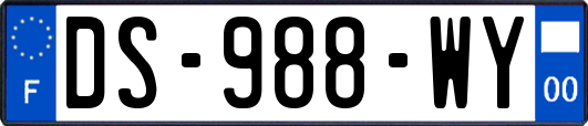 DS-988-WY