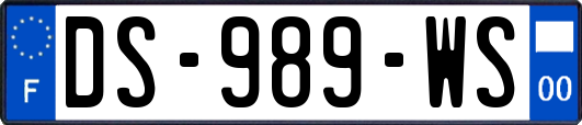 DS-989-WS
