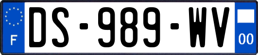 DS-989-WV