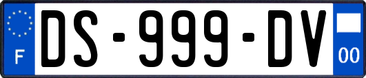 DS-999-DV