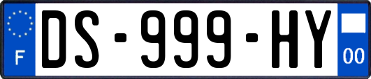 DS-999-HY