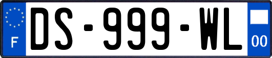 DS-999-WL