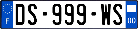 DS-999-WS