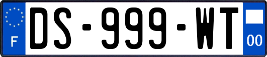 DS-999-WT