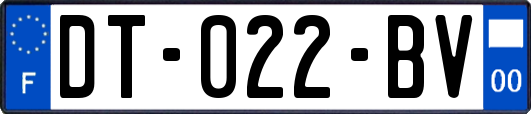 DT-022-BV