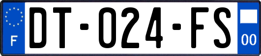 DT-024-FS