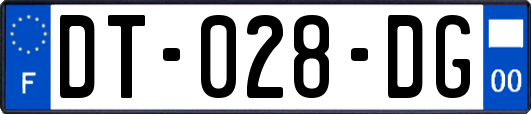 DT-028-DG