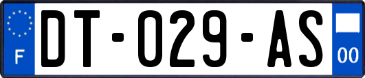 DT-029-AS