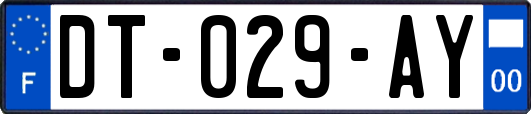 DT-029-AY