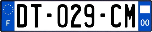 DT-029-CM