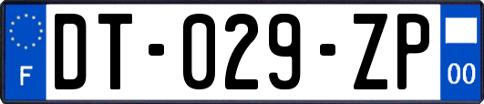 DT-029-ZP
