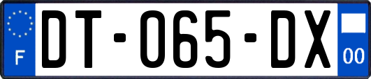 DT-065-DX
