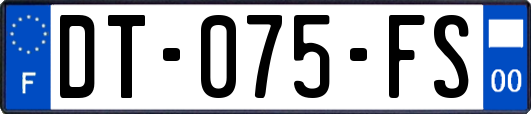 DT-075-FS