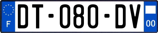 DT-080-DV