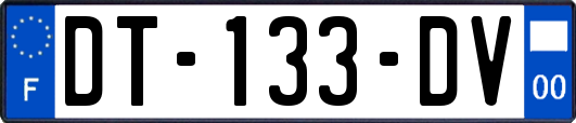 DT-133-DV